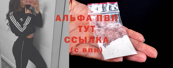 прущий лед Абаза