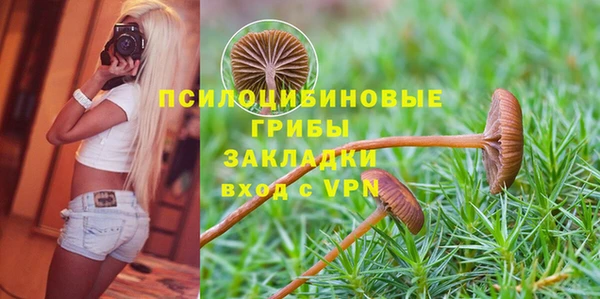 2c-b Абдулино