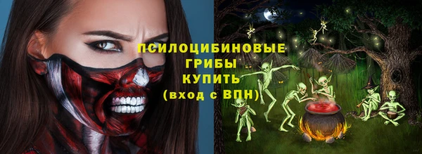 прущий лед Абаза