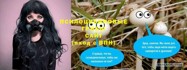 2c-b Абдулино